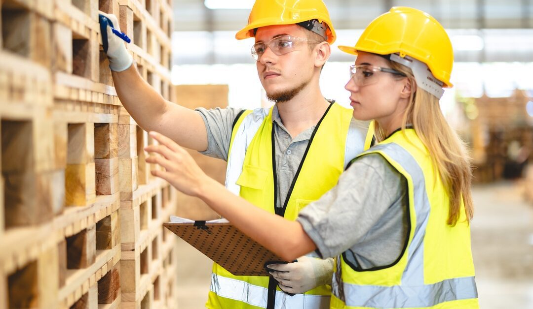 Hardwood Pallets vs. Pine Pallets: Choosing the Right One