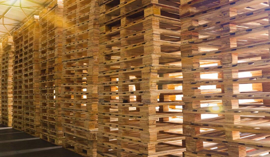 Choosing the Right Pallet Supply Company