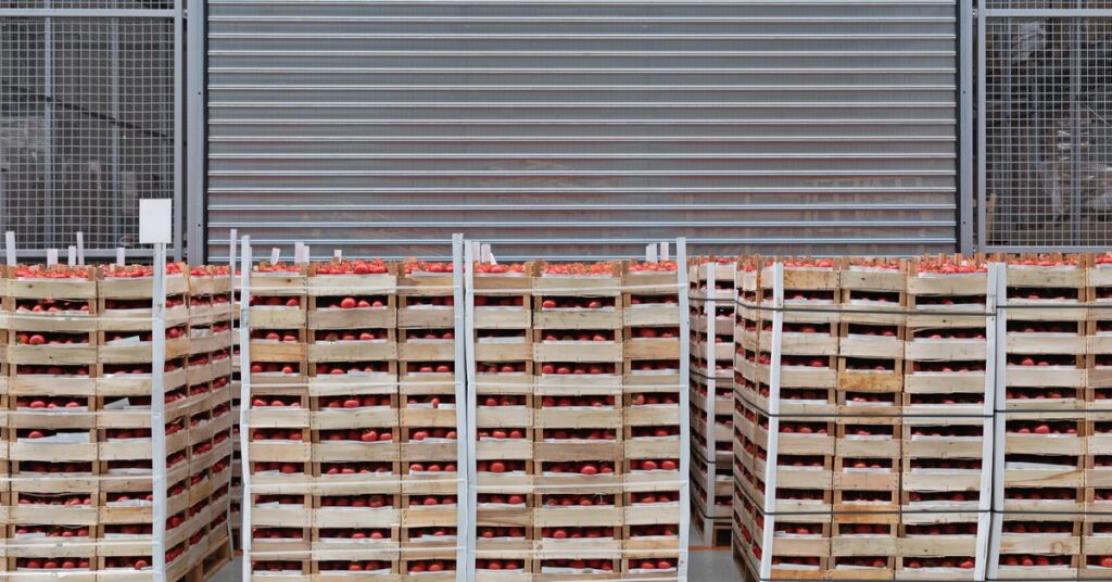 Several wooden pallets set up outside of a warehouse door. The pallets are stacked tall and filled with tomatoes.
